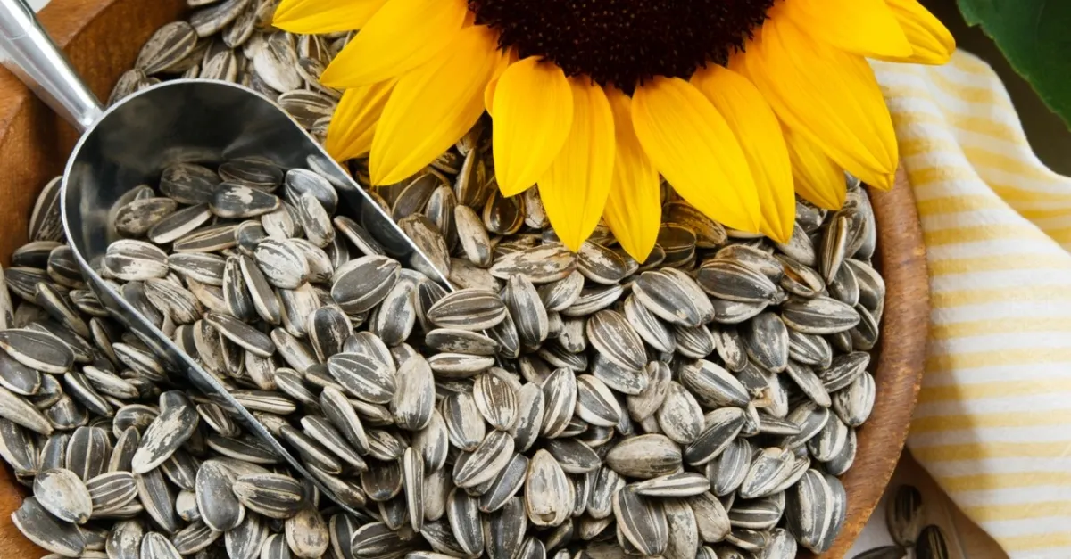 Cilt İçin Güçlü Besinler: Yumurta, Avokado, Ay Çekirdeği ve Kırmızı Biber