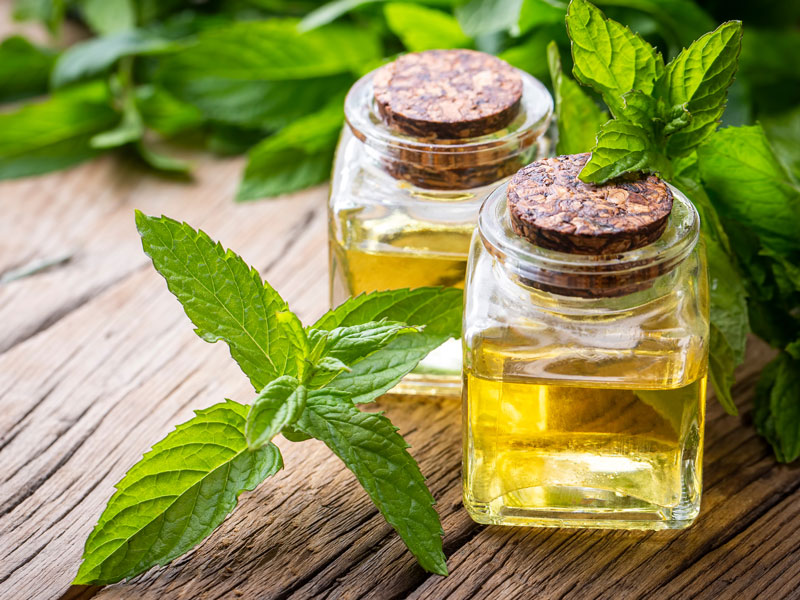 Dolgun Dudaklar İçin Doğal ve Güvenli Adımlar: Ev İpuçları ve Dikkat Edilmesi Gerekenler