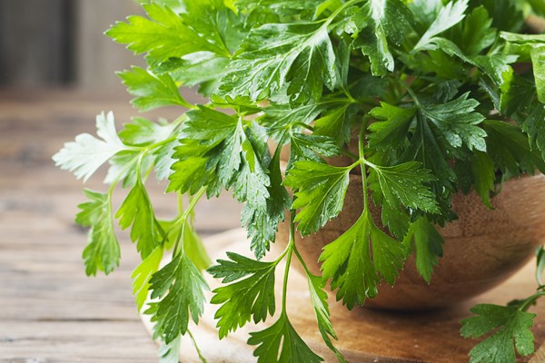 Genetik Geçişli Diş ve Dişeti Sağlığı: Doğru Beslenme ile Koruma Rehberi