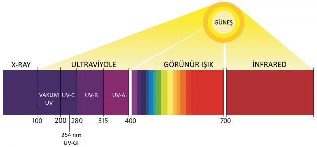 Güneş Işınları, Deri Sağlığı ve Enfeksiyon Direnci: Bilinçli Güneş Kullanımı