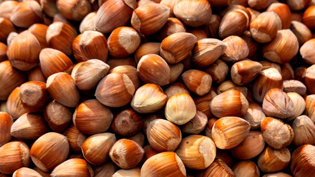 Kalp Sağlığını Destekleyen Günlük Besinler: Keten Tohumu, Ceviz ve Daha Fazlası