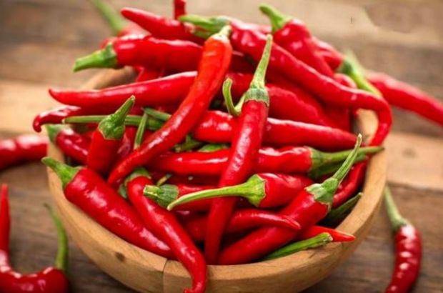 Kıştan Yaza Hızlı Metabolizma İçin Besin ve İçecek Rehberi