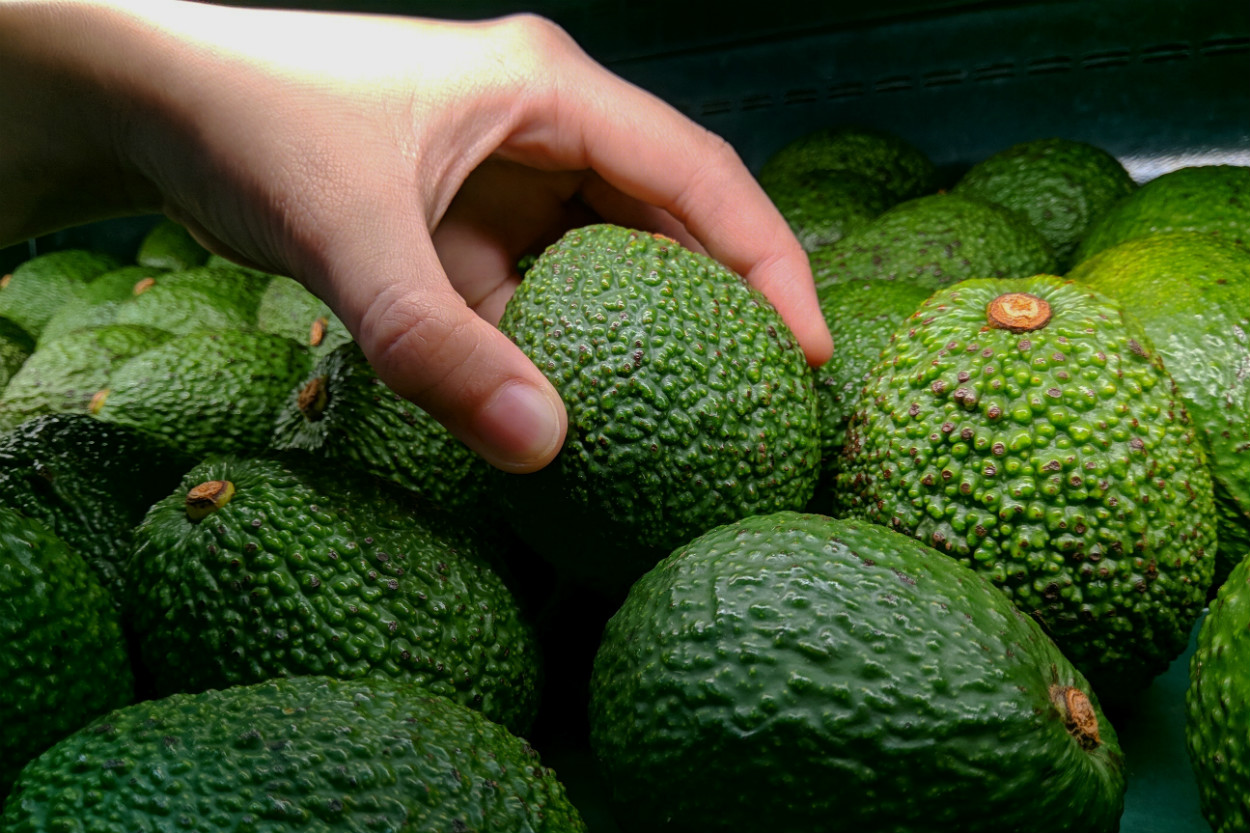 Olgun Avokado İçin Pratik Kontrol Adımları: Dokun, Sap ve Kabuk İncele