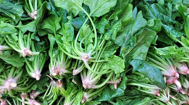 Saç Sağlığı İçin Besin Odaklı Rehber: Hangi Gıdalar Saçı Güçlendirir?