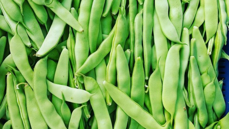 Saç Sağlığı İçin Besin Odaklı Rehber: Hangi Gıdalar Saçı Güçlendirir?