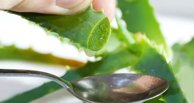 Dudak Uçuğu: Belirtiler, Nedenler ve Evde Etkili Doğal Tedaviler